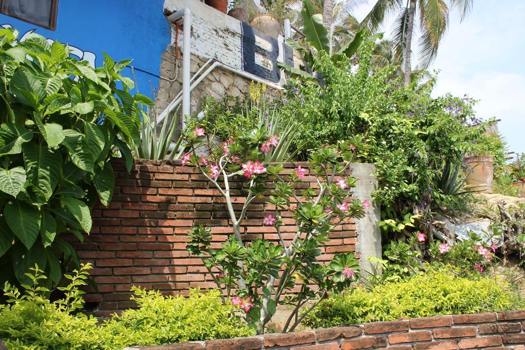 Hotel Buena Vista Puerto Escondido  Luaran gambar